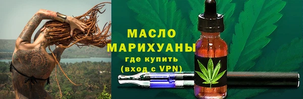 амф Ельня
