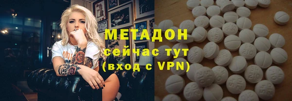 амф Ельня