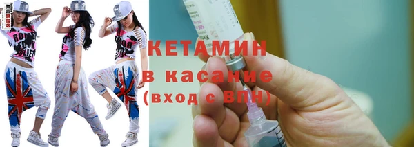 амф Ельня