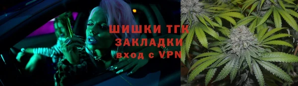 амф Ельня