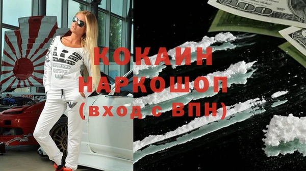 амф Ельня