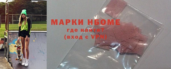 амф Ельня